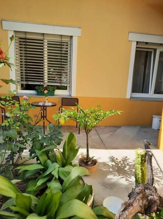 Ignim 2 Apartment 수보티차 외부 사진